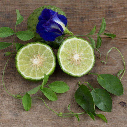 Bergamot & Patchouli