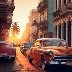 Havana Nights